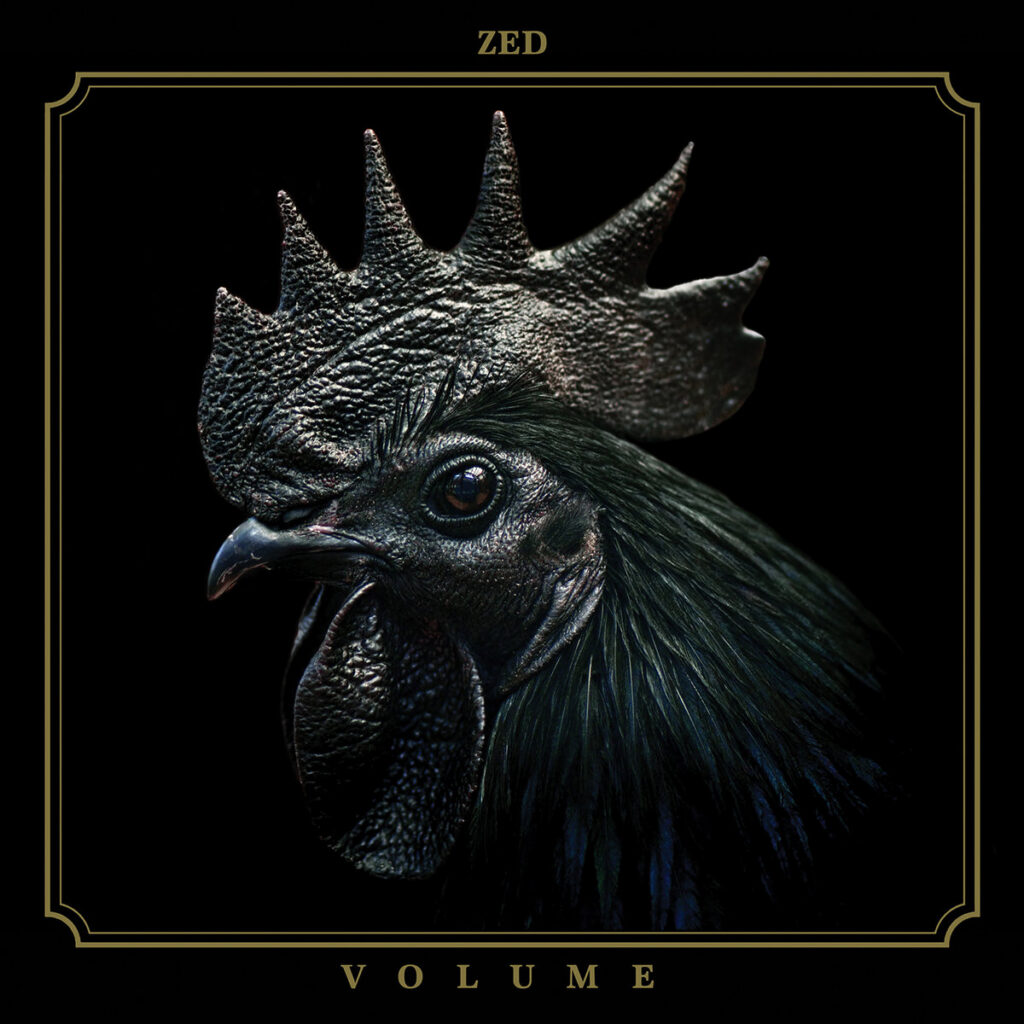 ZED ‘Volume’ cover artwork